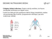 Degimo nutraukimas 12 puslapis