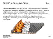 Degimo nutraukimas 13 puslapis