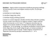 Degimo nutraukimas 14 puslapis