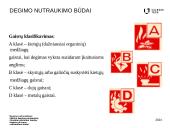 Degimo nutraukimas 2 puslapis