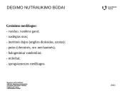 Degimo nutraukimas 3 puslapis