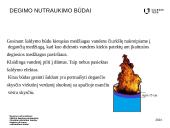 Degimo nutraukimas 7 puslapis