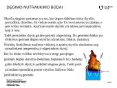 Degimo nutraukimas 8 puslapis