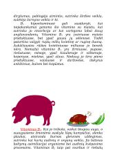 Vitaminai A-PP 4 puslapis