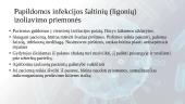 Infekcinių ligų epidemiologinės priežiūros organizavimas, vykdymas ir infekcinių šaltinių izoliacija  7 puslapis