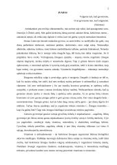 Vitaminai, jų reikšmė mityboje 2 puslapis