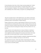 Vokietijos teminiai parkai 19 puslapis