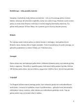 Vokietijos teminiai parkai 8 puslapis