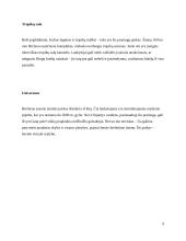 Vokietijos teminiai parkai 9 puslapis