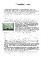 Vorai ir vorų tipai 2 puslapis