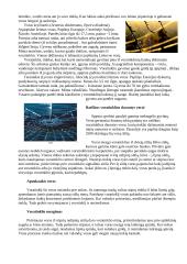 Vorai ir vorų tipai 4 puslapis