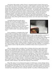 Vorai ir vorų tipai 6 puslapis