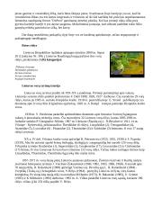 Vorai ir vorų tipai 8 puslapis