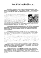 Vorai ir vorų tipai 9 puslapis