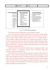 W. Ouchi ir japoniškoji motyvacinė sistema 10 puslapis