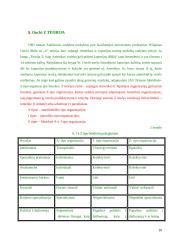 W. Ouchi ir japoniškoji motyvacinė sistema 9 puslapis