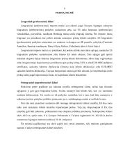 Prekių klasifikavimas ir prekių kilmė 8 puslapis