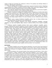 Zodiako žvaigždynai 2 puslapis