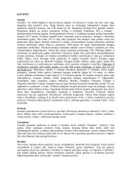 Žalingų įpročių rūšys 20 puslapis