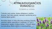 Atpalaiduojančios, tonizuojančios vonios 4 puslapis