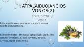 Atpalaiduojančios, tonizuojančios vonios 5 puslapis