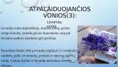 Atpalaiduojančios, tonizuojančios vonios 6 puslapis