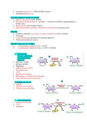 Biochemijos konspektas 19 puslapis