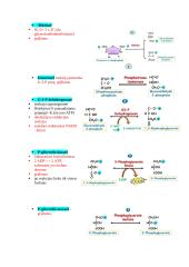Biochemijos konspektas 20 puslapis