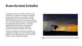 Krituliai. Skaidrės 7 puslapis
