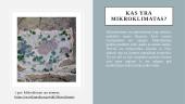 Mikroklimatas (skaidrės) 2 puslapis