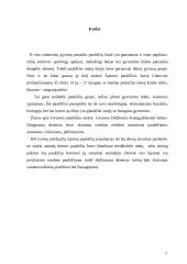 Žąsiniai paukščiai 2 puslapis