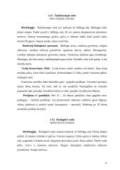 Žąsiniai paukščiai 14 puslapis