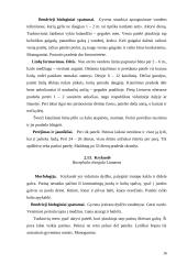 Žąsiniai paukščiai 15 puslapis