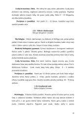 Žąsiniai paukščiai 17 puslapis