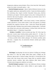 Žąsiniai paukščiai 18 puslapis