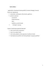 Žąsiniai paukščiai 3 puslapis