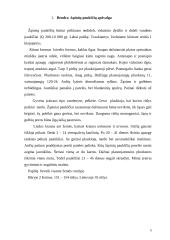 Žąsiniai paukščiai 4 puslapis