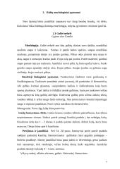 Žąsiniai paukščiai 6 puslapis