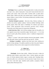 Žąsiniai paukščiai 7 puslapis