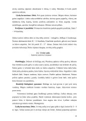 Žąsiniai paukščiai 9 puslapis