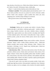 Žąsiniai paukščiai 10 puslapis