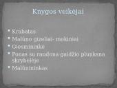 Otfried Preussler „Krabatas, arba Treji metai užburtame malūne“ knygos pristatymas 3 puslapis