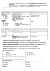 Galūnių sąnariai 6 puslapis