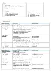 Galūnių sąnariai 7 puslapis