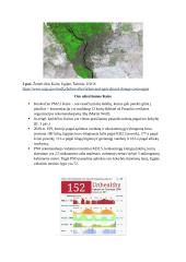 Kairo oro užterštumas 2 puslapis
