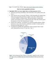 Kairo oro užterštumas 3 puslapis