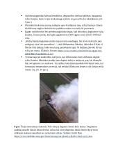 Kairo oro užterštumas 6 puslapis