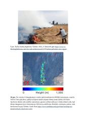 Kairo oro užterštumas 7 puslapis