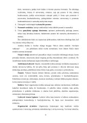 Silicio slėnis 10 puslapis