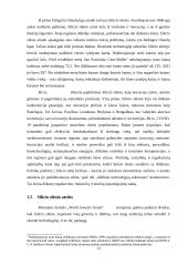 Silicio slėnis 12 puslapis